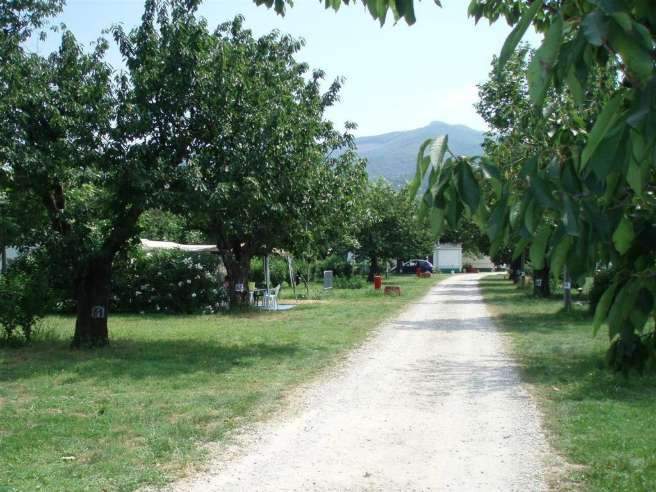 Emplacement camping Céret