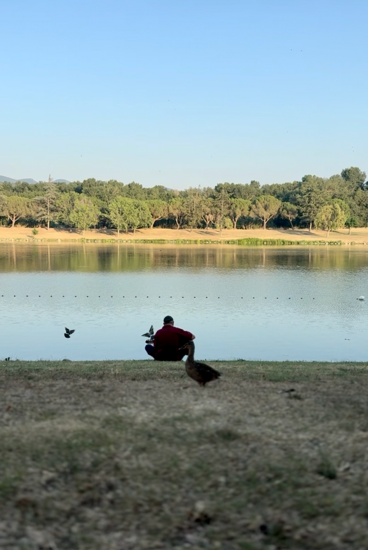 Promenade au bord du lac Céret