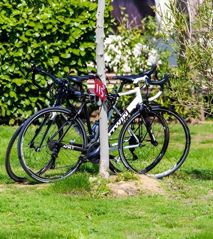 Alquiler de bicicletas con asistencia eléctrica Céret